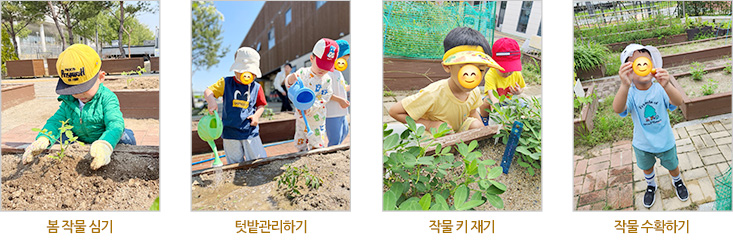 봄 작물 심기, 텃밭 관리하기, 작물 키 재기, 작물 수확하기